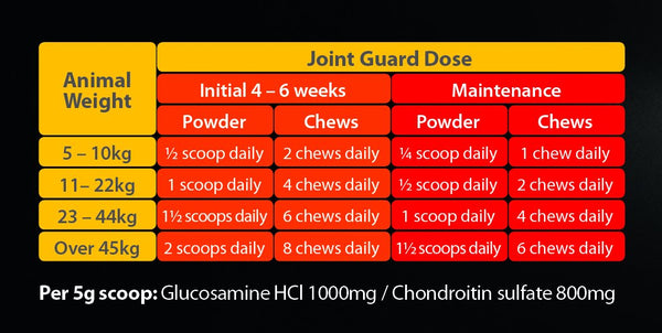 Joint guard shop chews for dogs