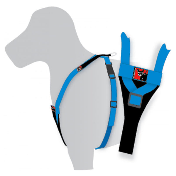 Black dog sale tracking harness