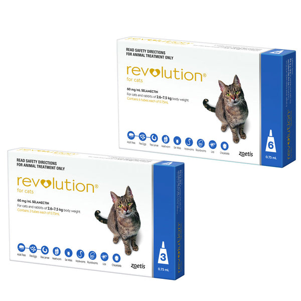 Revolution for cats sales best