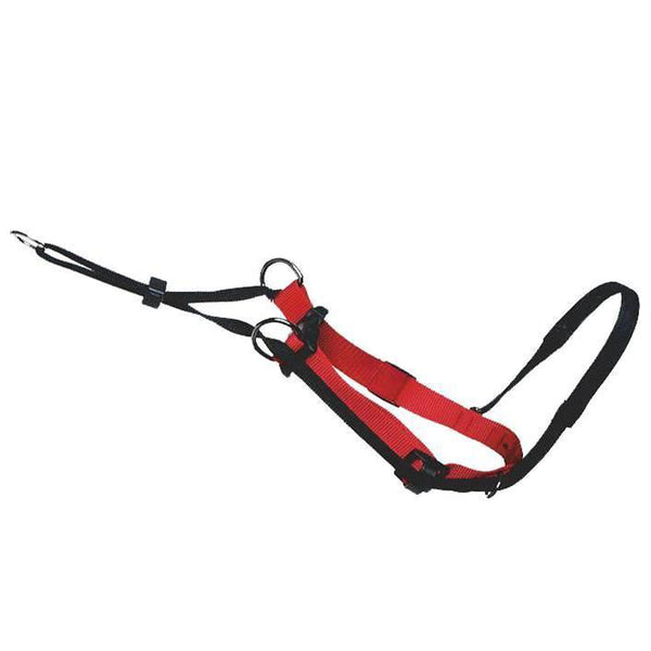 Sporn Head Control Halter - Vet-n-pet Direct