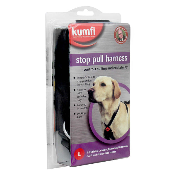 Kumfi top dog lead