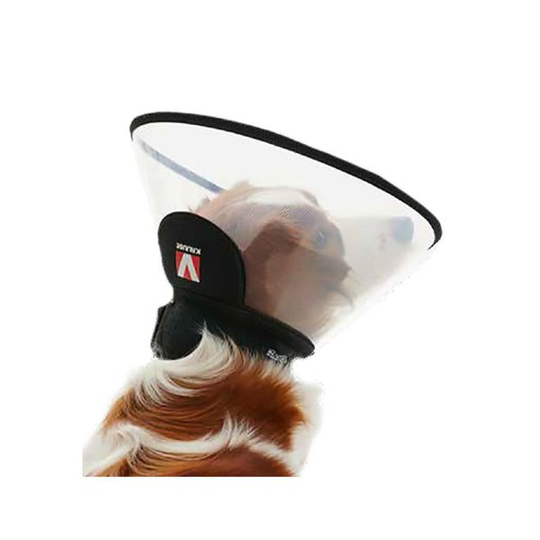 Buster Complete Elizabethan Collar vet n pet DIRECT