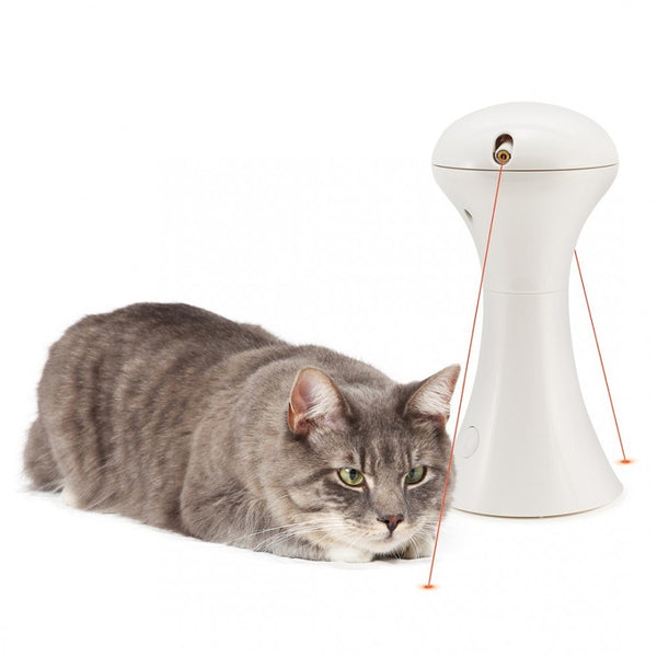 Frolicat laser shop pet toy