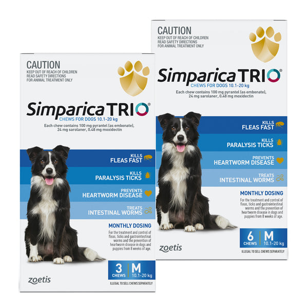 Simparica TRIO For Medium Dogs 10.1-20kg | vet-n-pet DIRECT