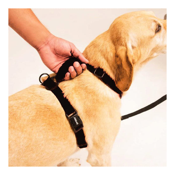 Sporn sale comfort harness