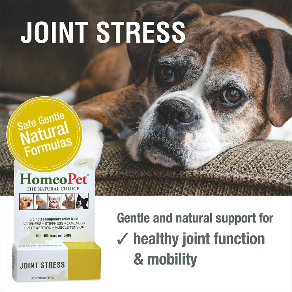 HomeoPet Joint Stress