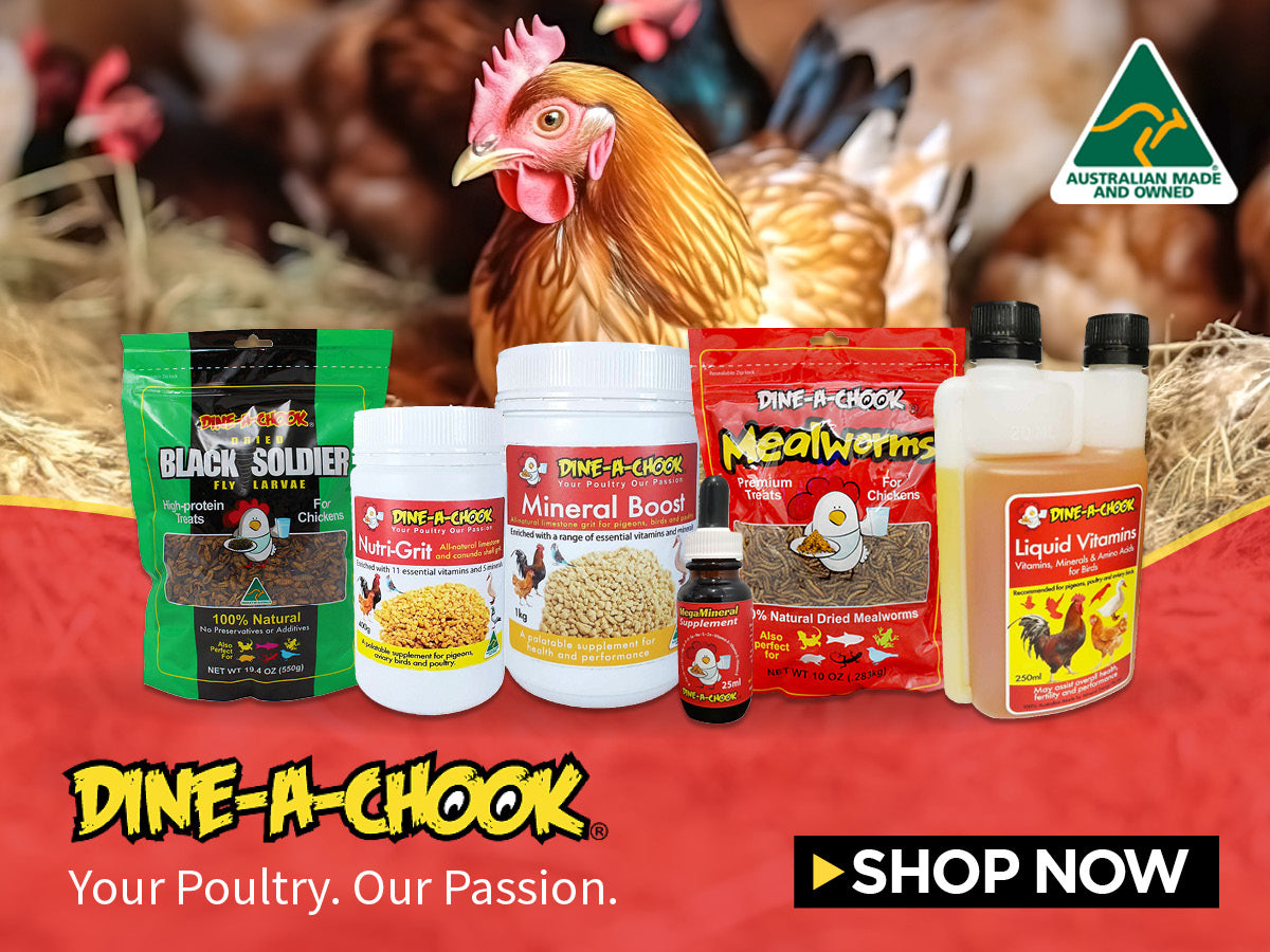 Poultry Vitamins & Supplements
