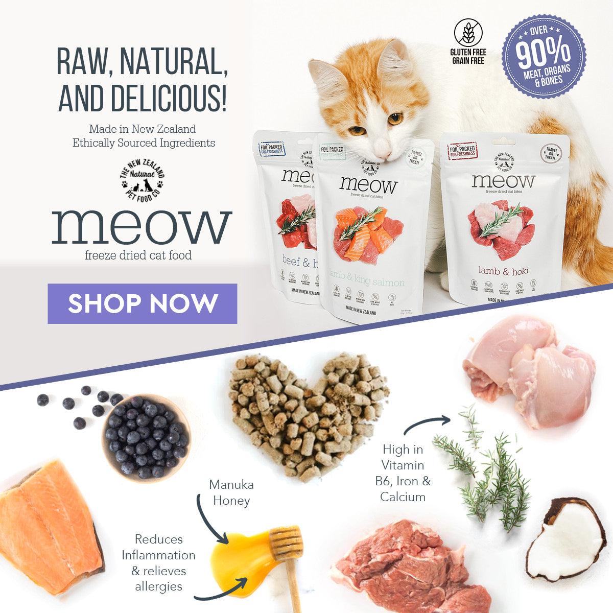 Shop Cat and Kitten Food Online vet n pet DIRECT