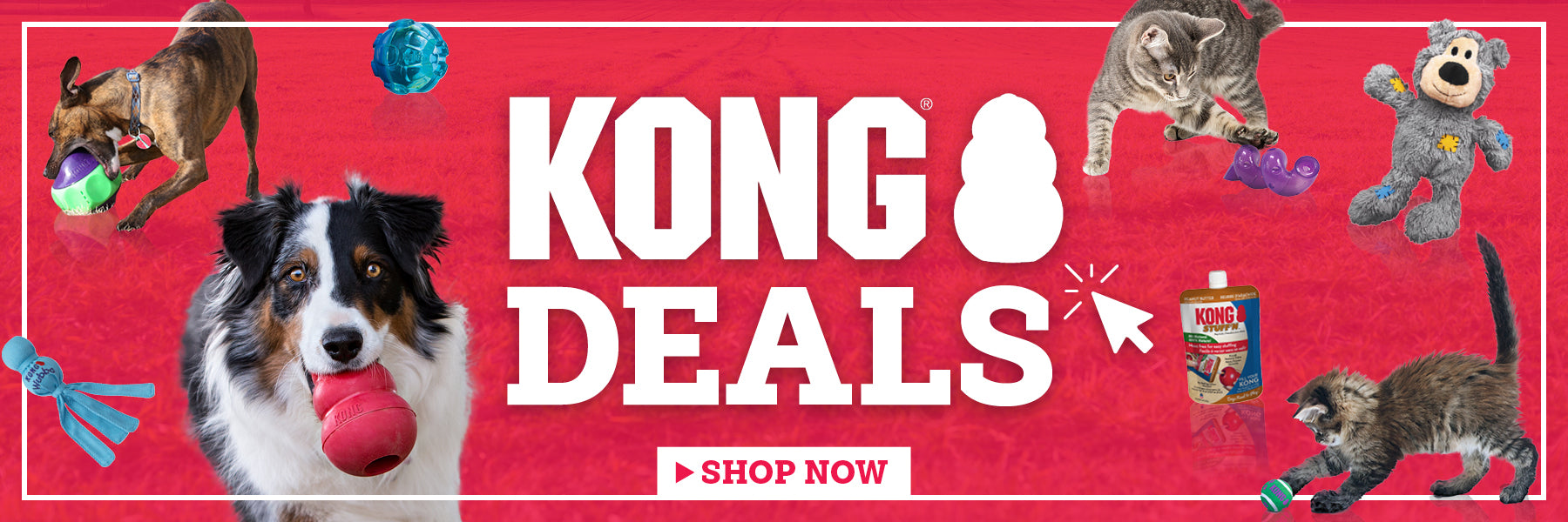 KONG Deals