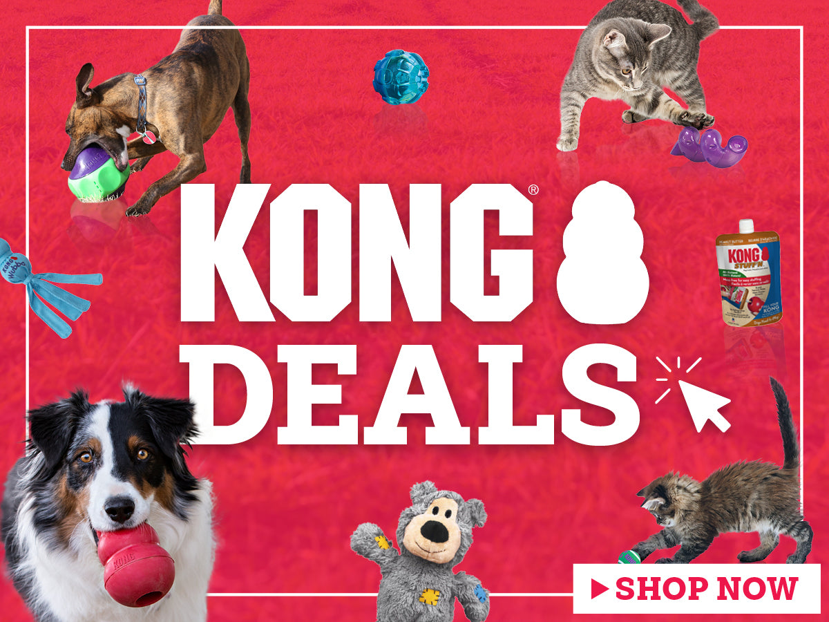 KONG Deals