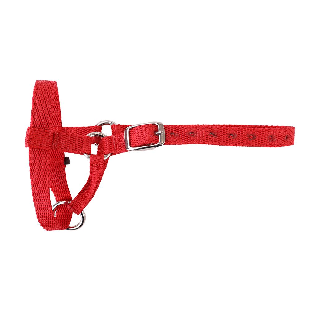 Webbing Sheep Halter