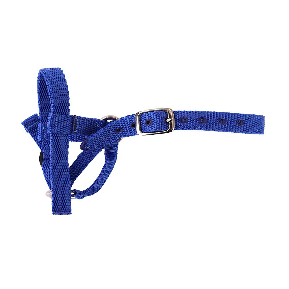 Webbing Sheep Halter