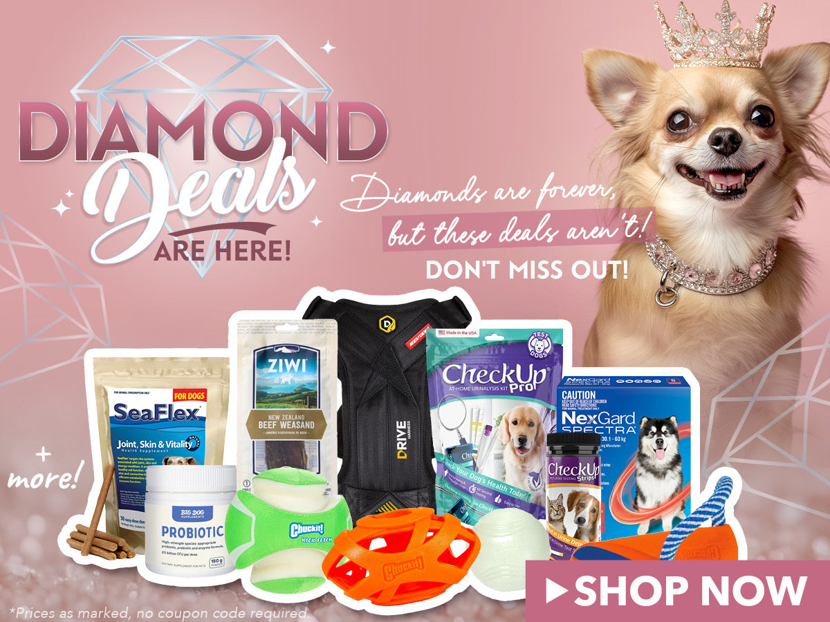 Online Dog Supplies Everything for Dogs Puppies vet n pet