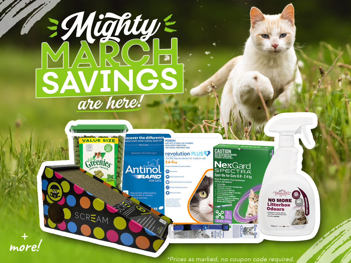 Cat & Kitten Supplies & Vet Products