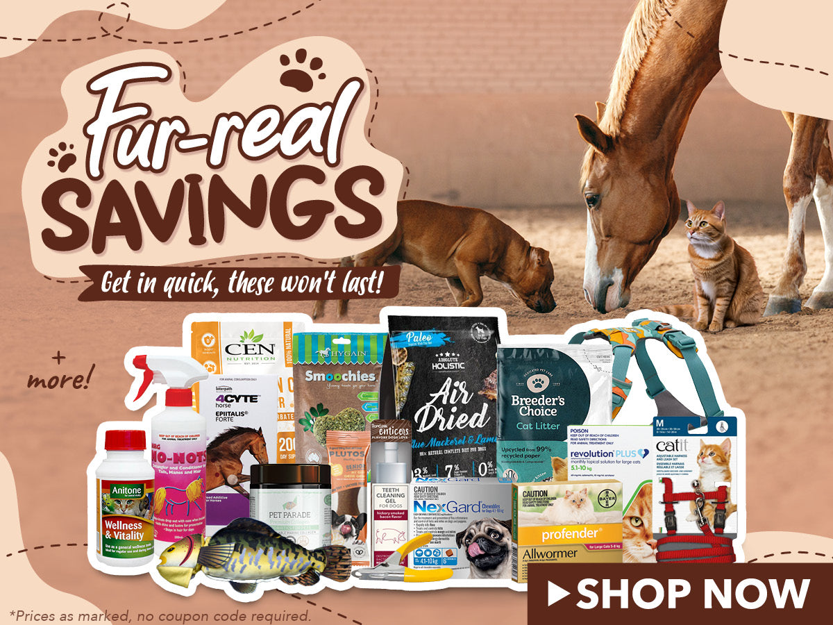 vet n pet DIRECT Australia s Online Pet Shop Expert