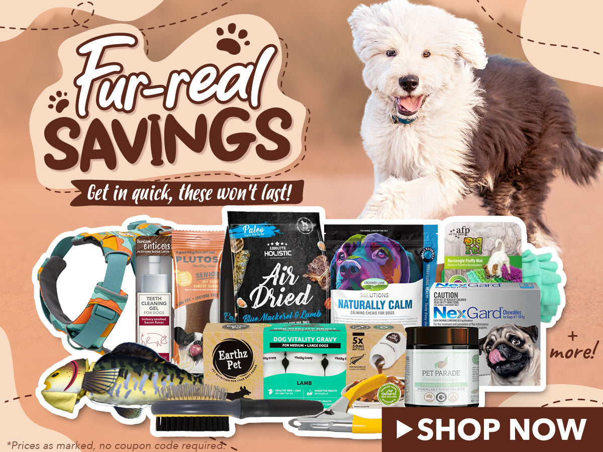 Online Dog Supplies Everything for Dogs Puppies vet n pet DIRECT