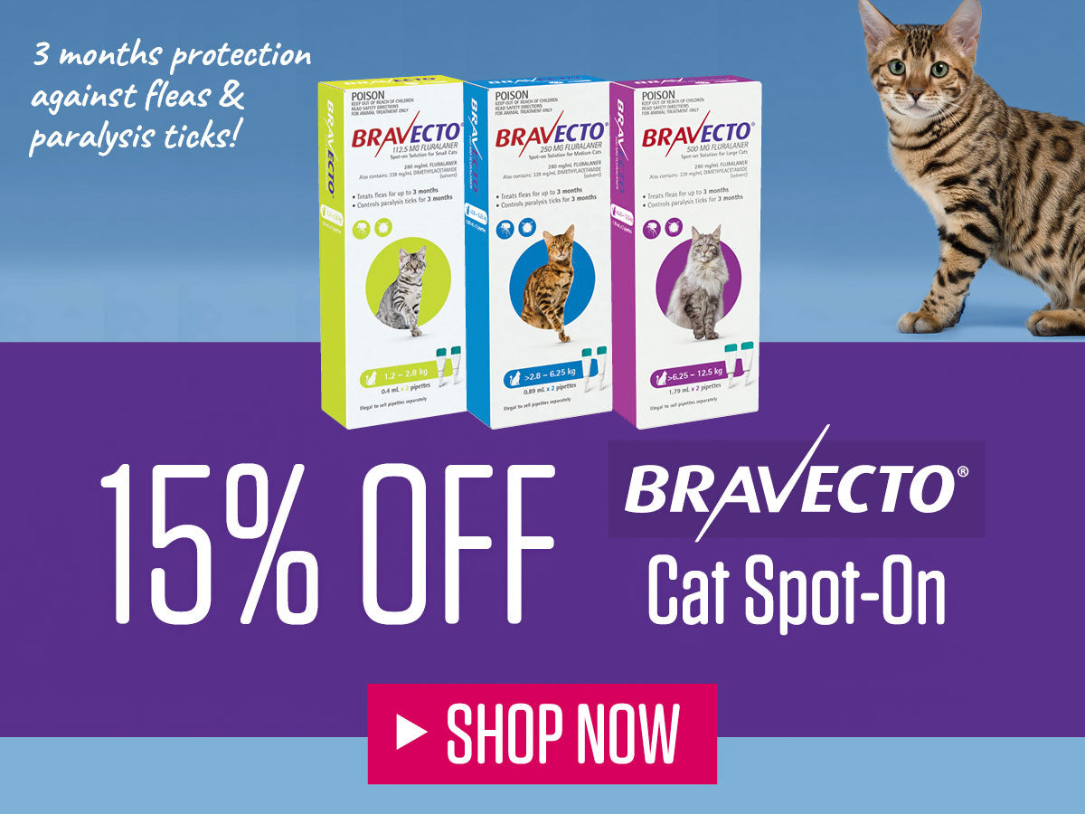 vet n pet DIRECT Australia s Online Pet Shop Expert