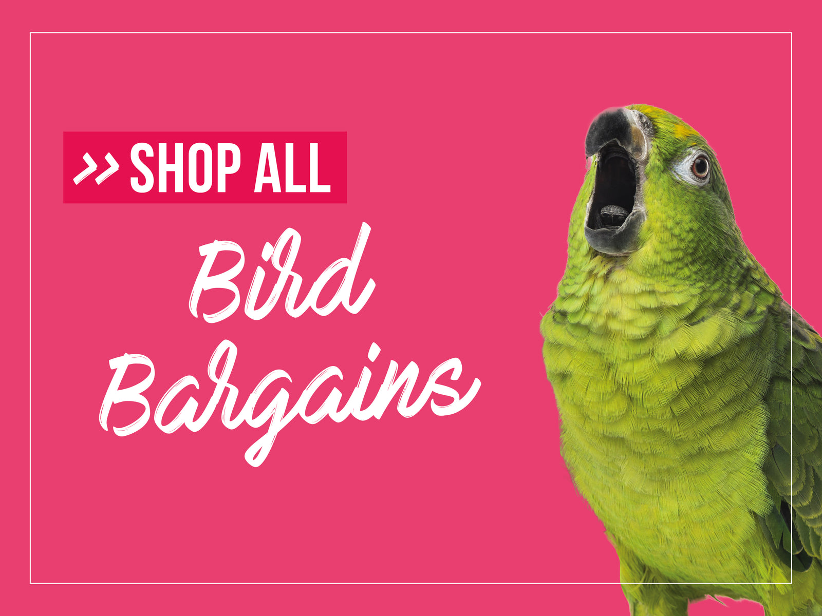 Bird Supplies vet n pet DIRECT