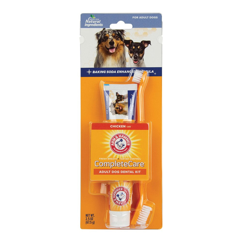 Arm &amp; Hammer Complete Care Dental Kit for Dogs