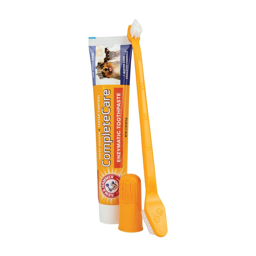 Arm &amp; Hammer Complete Care Dental Kit for Dogs