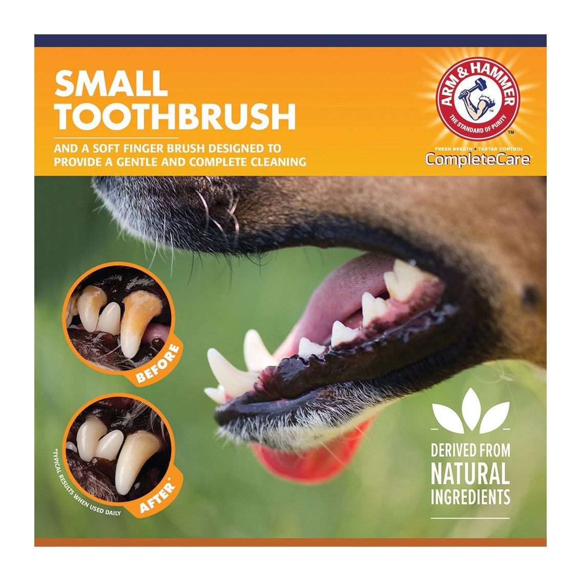 Arm &amp; Hammer Complete Care Dental Kit for Dogs