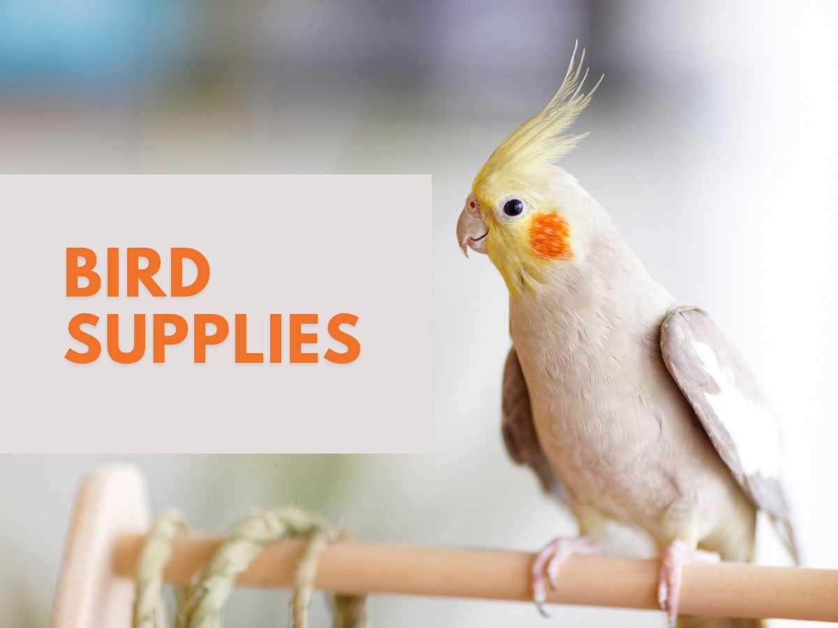 Bird Supplies vet n pet DIRECT