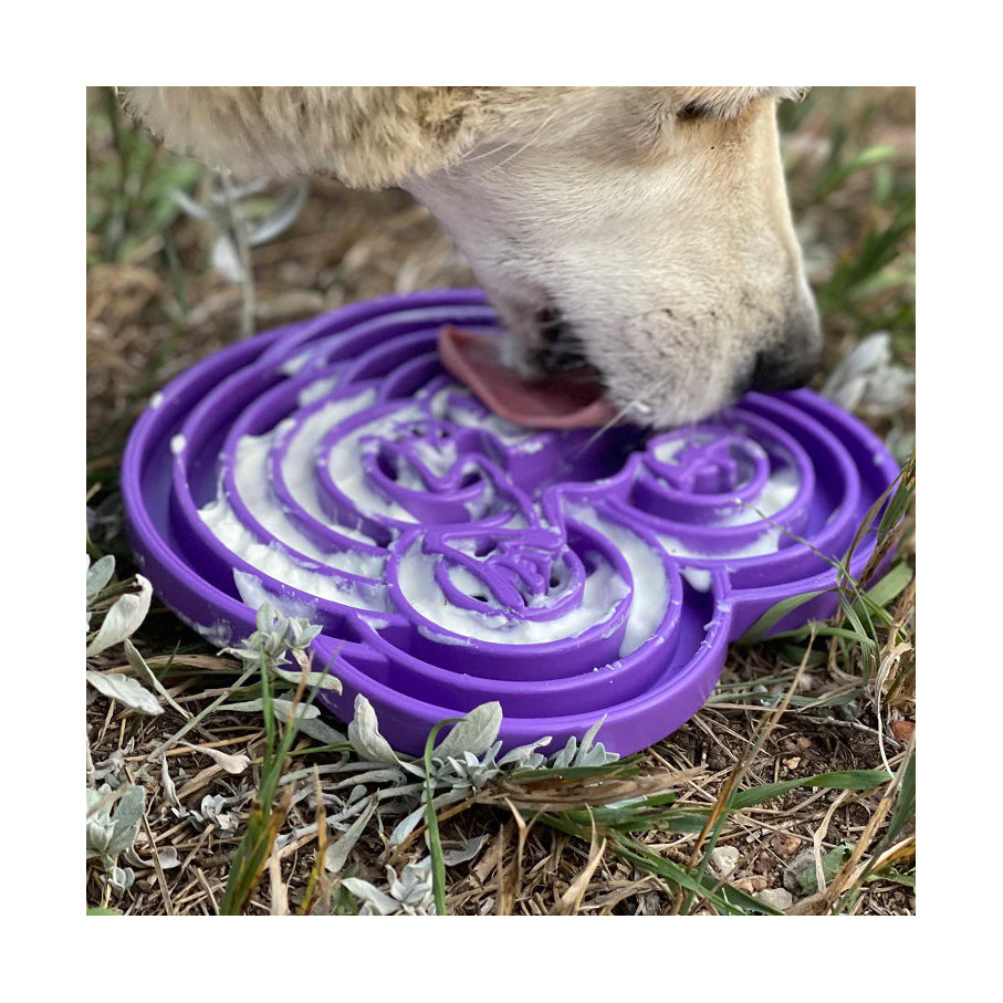 Water Frog Design eTray Enrichment Tray for Dogs Purple