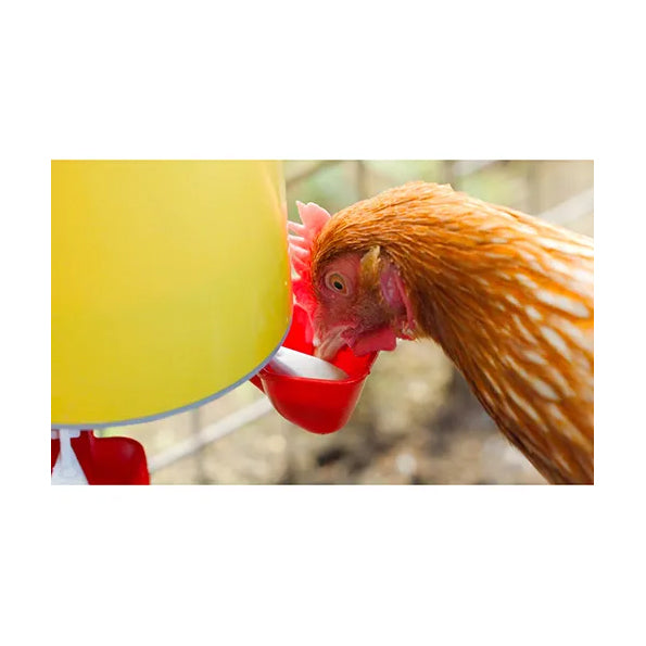 Bainbridge Chook Tower Drinker 4L