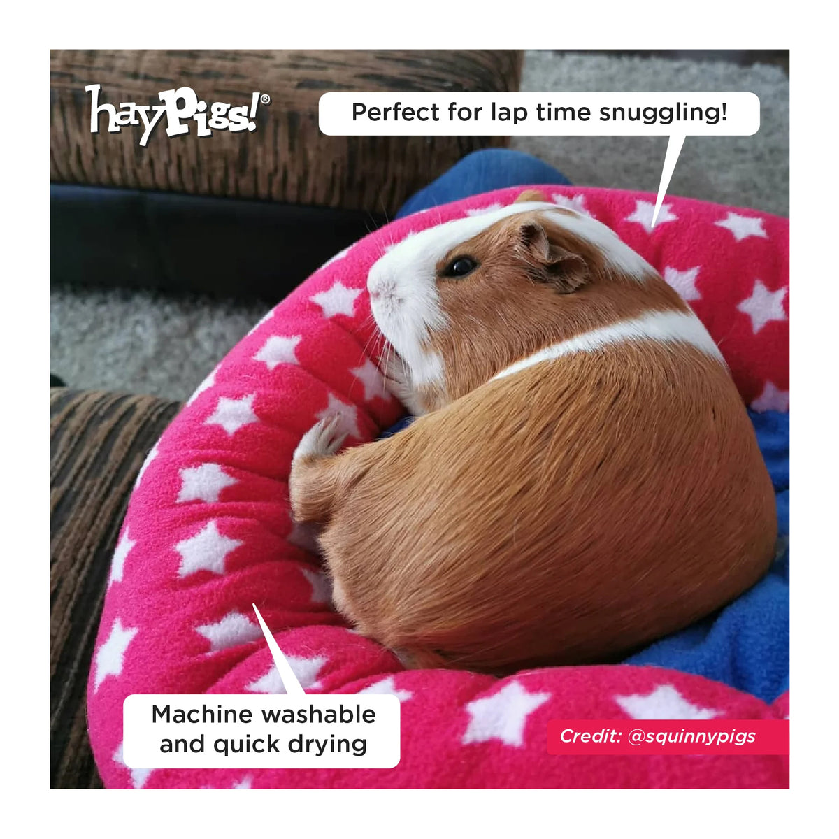 HayPigs! Piggy Crash Mat Fleece Bed