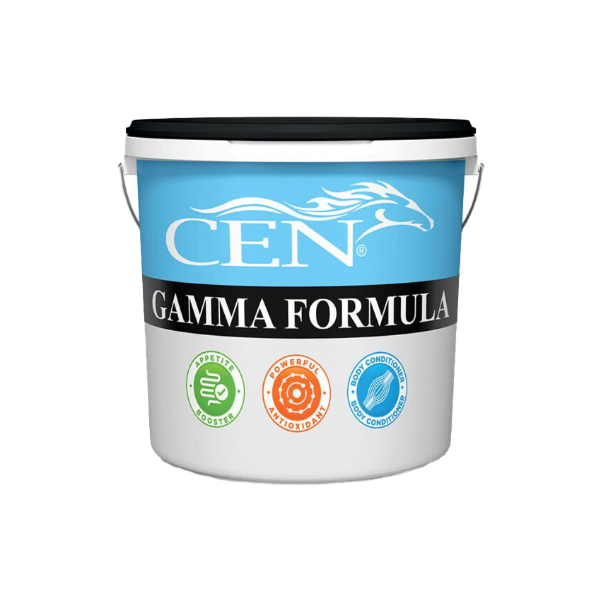 CEN Gamma Formula 2L