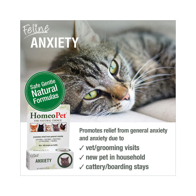 HomeoPet Feline Anxiety 15mL