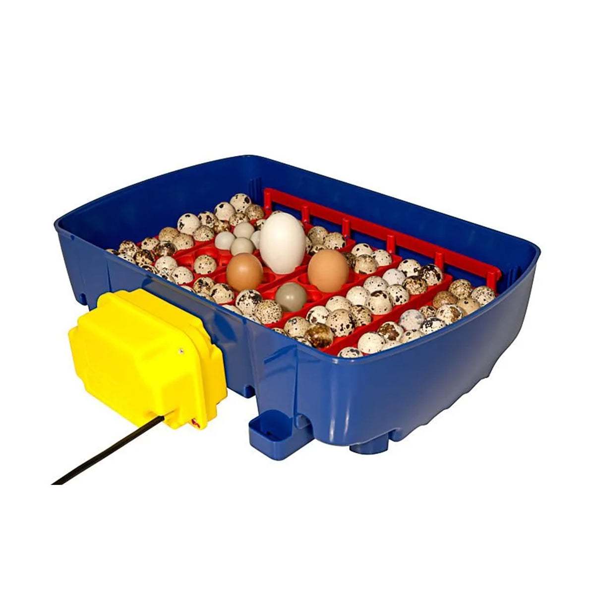 Borotto Real 24 Automatic Egg Incubator