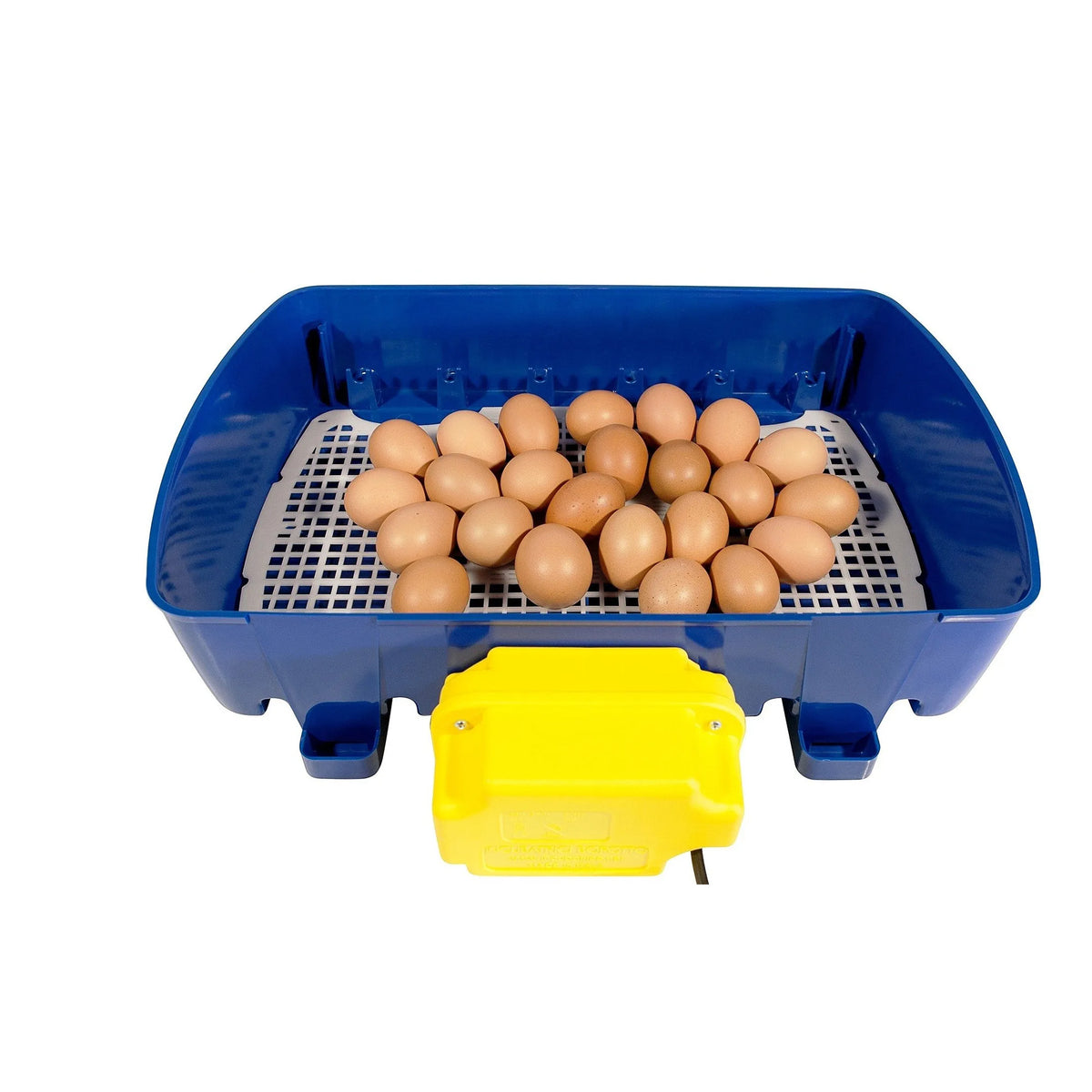 Borotto Real 24 Automatic Egg Incubator