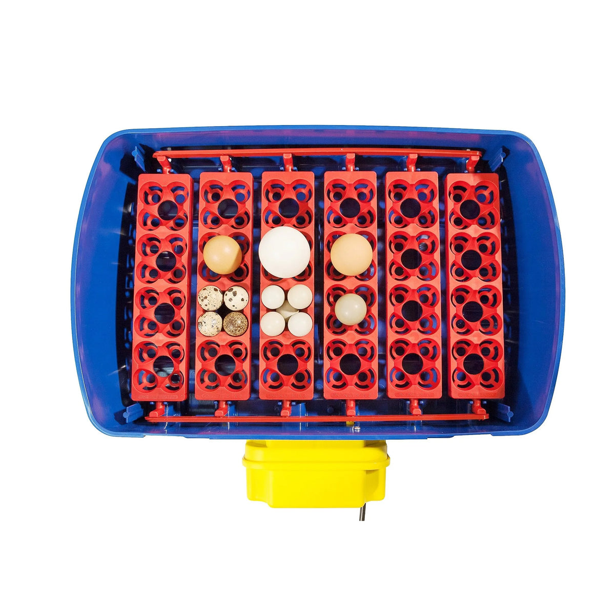 Borotto Real 24 Automatic Egg Incubator