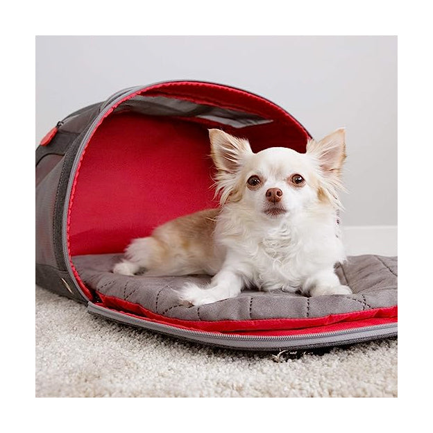 Kong best sale pet bed