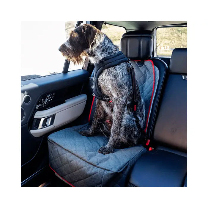 Schnauzer car outlet seat covers