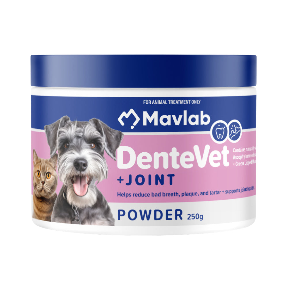 Mavlab DenteVet +JOINT Powder for Dogs &amp; Cats 250g