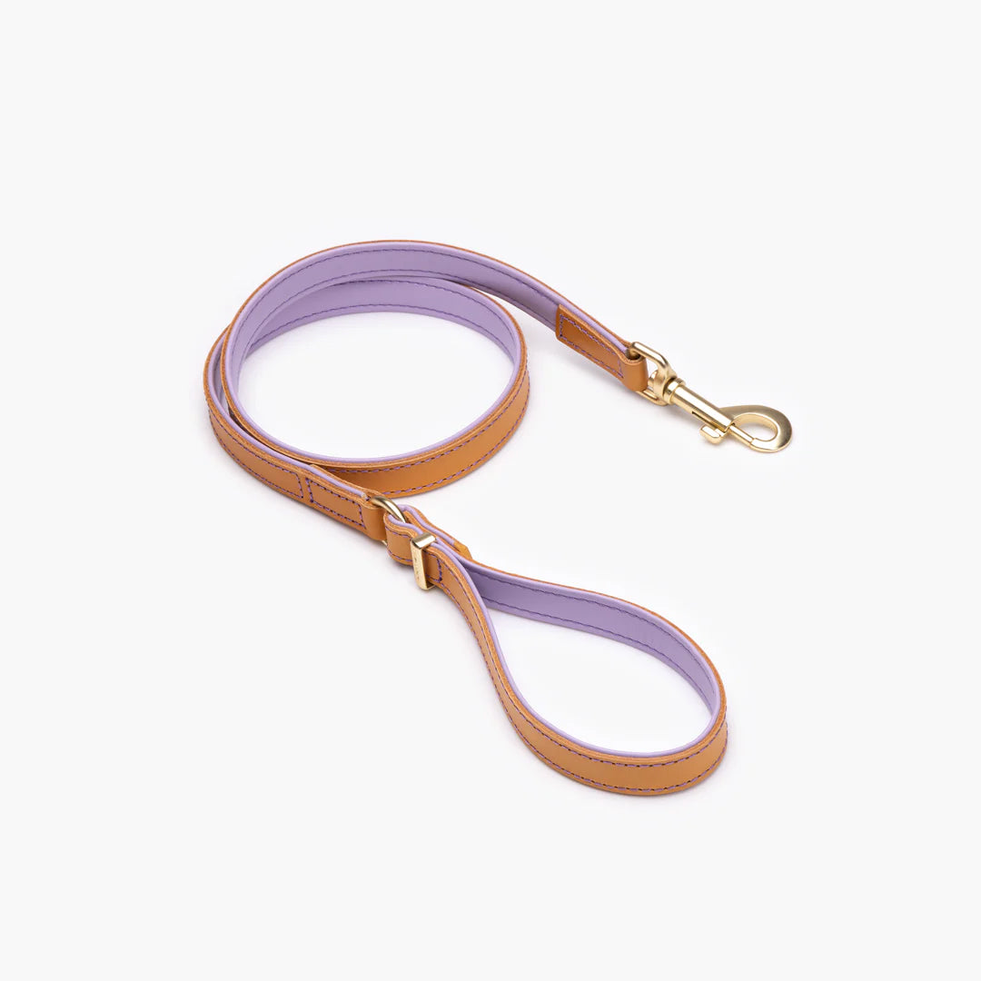 EzyDog Oxford Leather Classic Two Tone Dog Leash