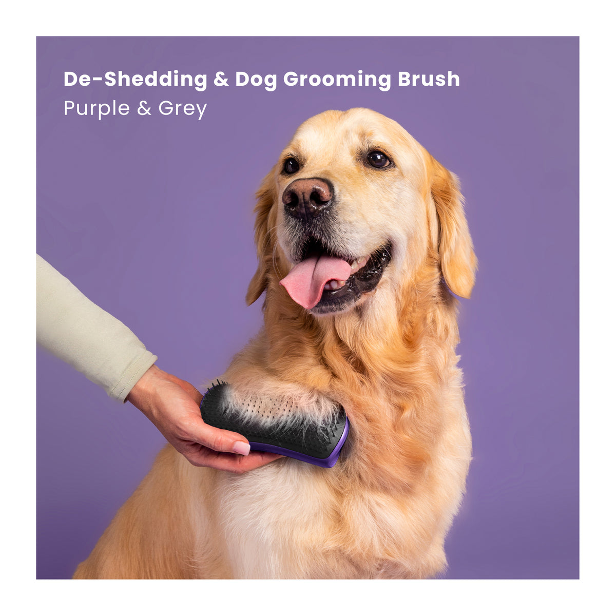 Pet Teezer De-Shedding &amp; Dog Grooming Brush for Heavy Shedding &amp; Long Haired Dogs