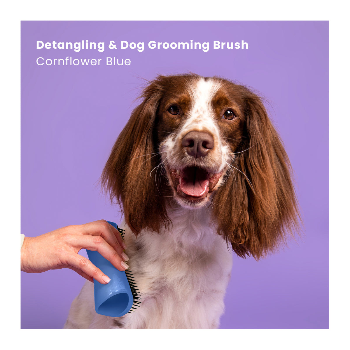 Pet Teezer De-Shedding &amp; Dog Grooming Brush for Heavy Shedding &amp; Long Haired Dogs