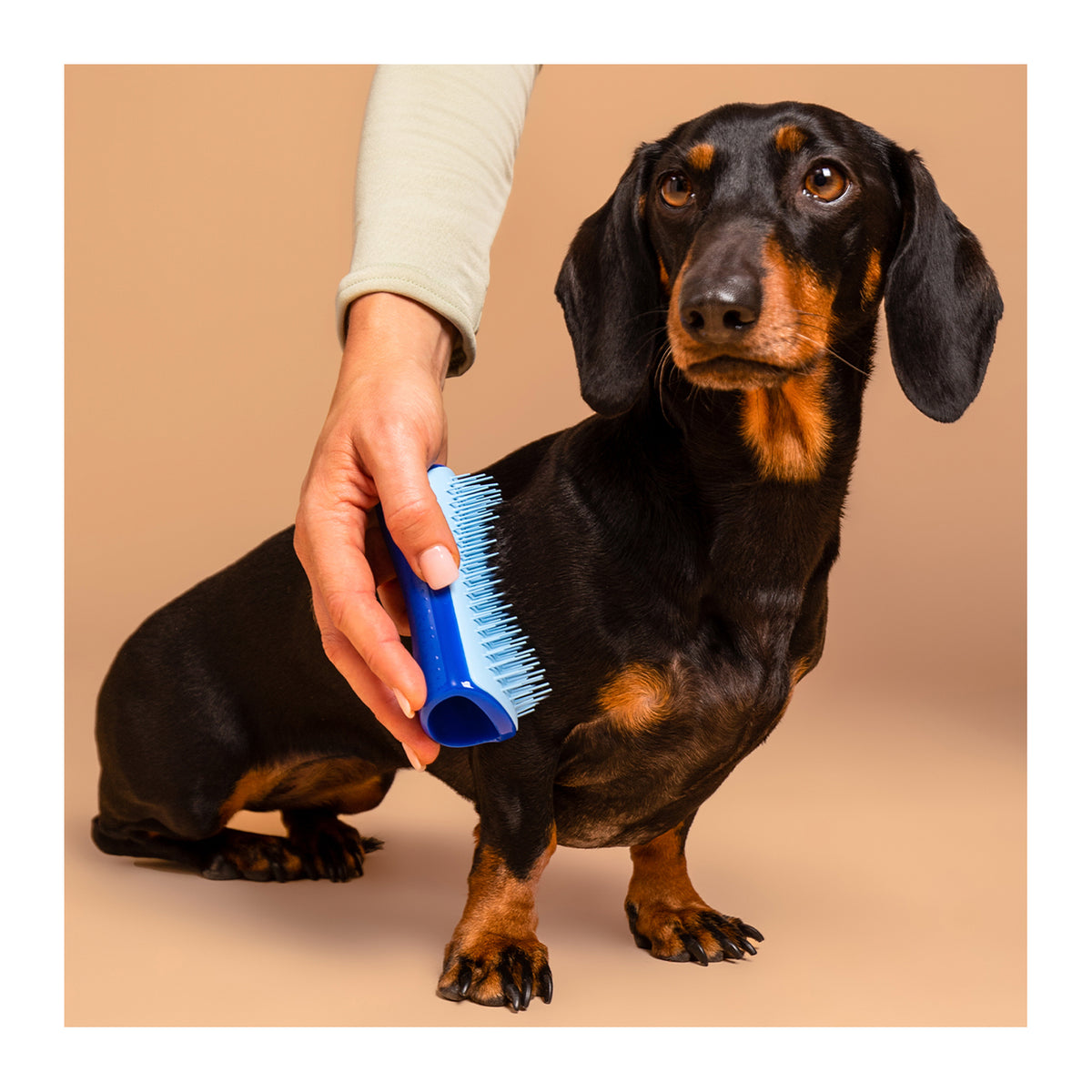 Pet Teezer De-Shedding &amp; Dog Grooming Brush for Heavy Shedding &amp; Long Haired Dogs