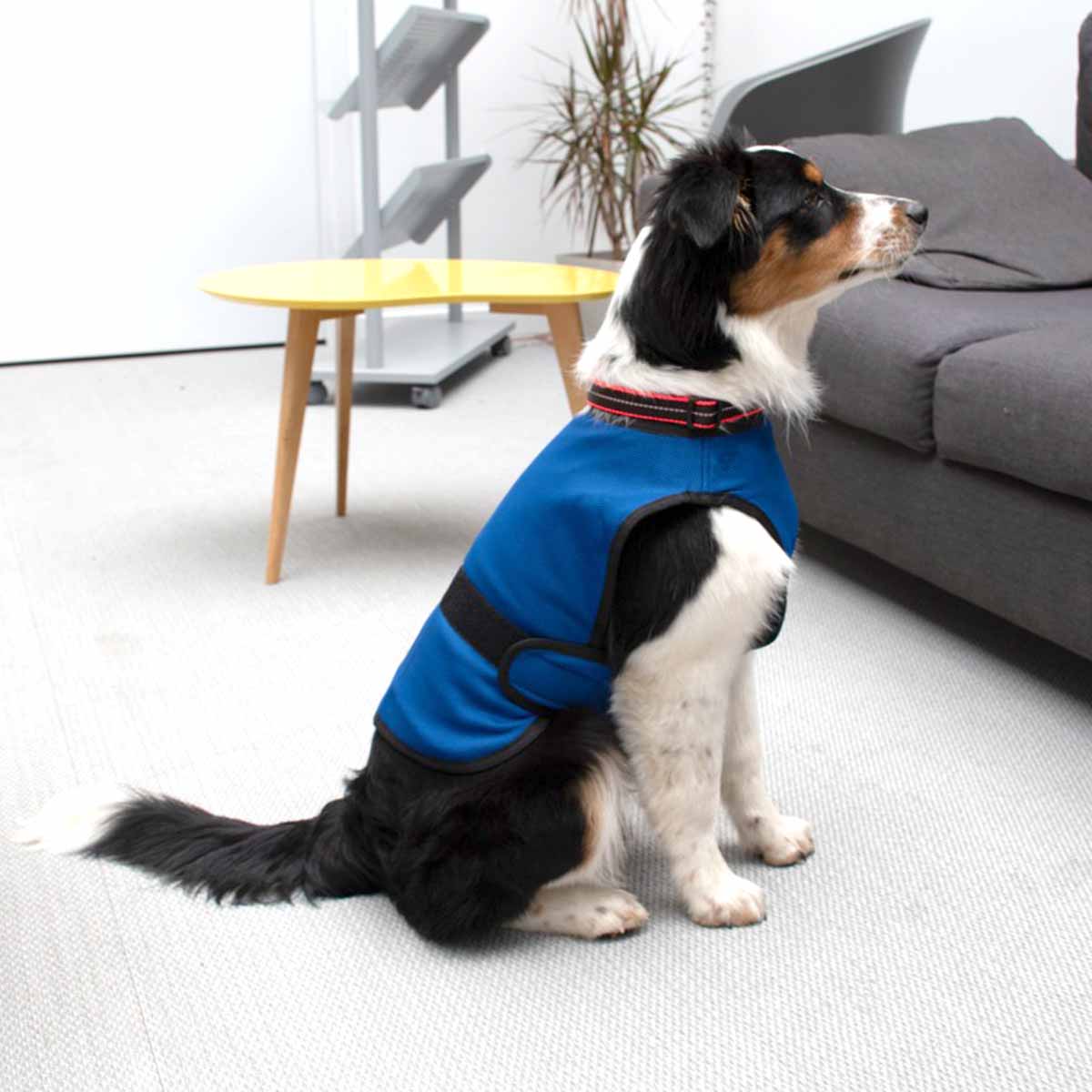 Vetopop Cooling Vest vet n pet DIRECT