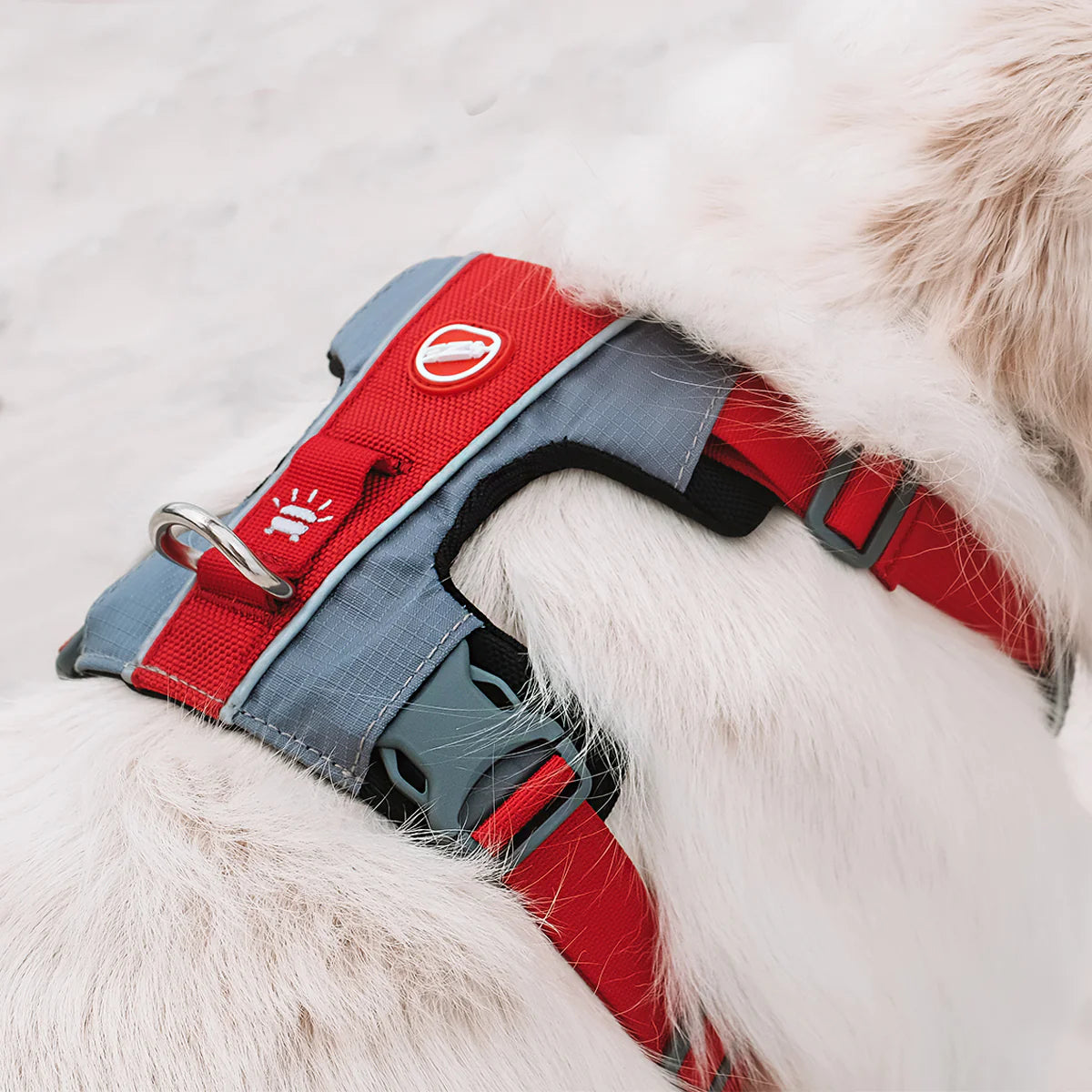 EzyDog X-Link Front Clip Dog Harness