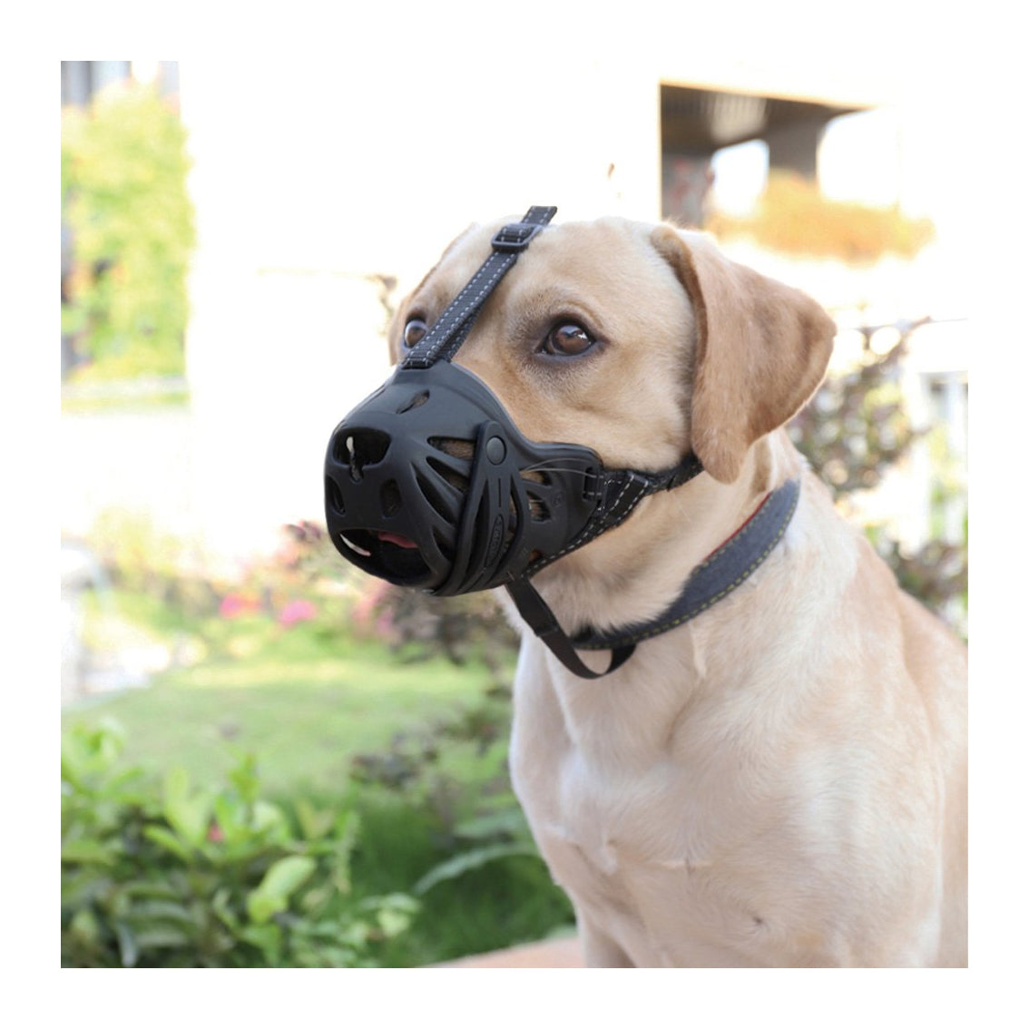 ZeeZ Comfort Dog Muzzle