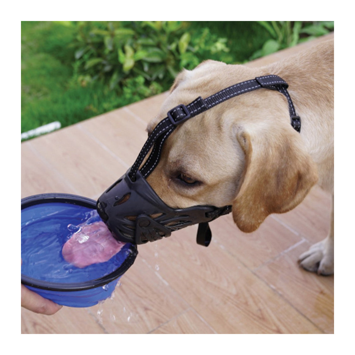 ZeeZ Comfort Dog Muzzle