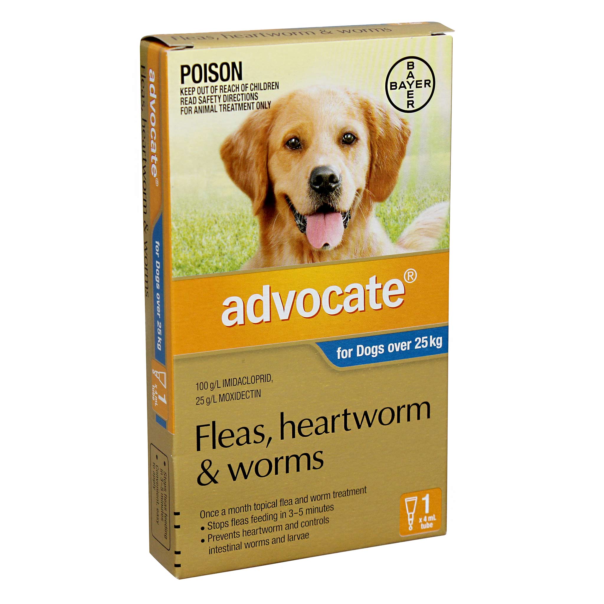 Natural remedies for hotsell hookworms in dogs