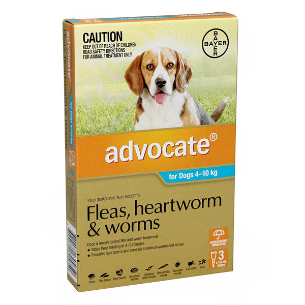 ADVOCATE for Medium Dogs 4-10kg - vet-n-pet DIRECT