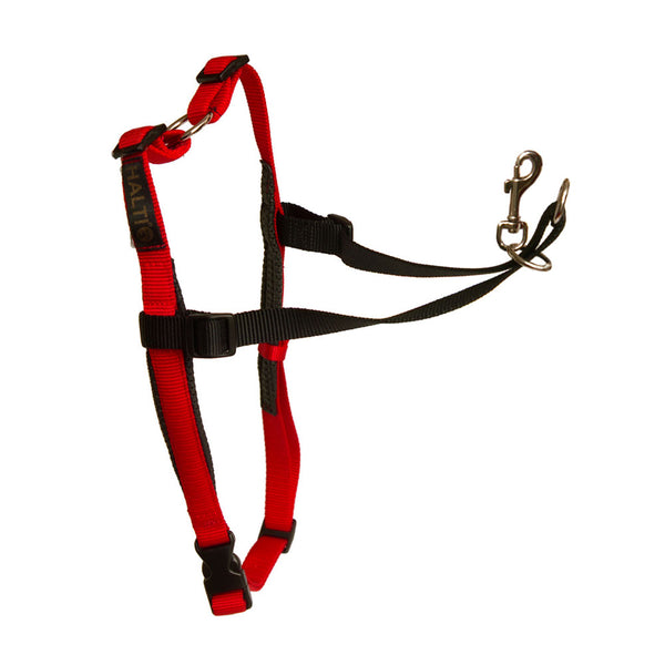 Halti Front Control Harness - vet-n-pet DIRECT