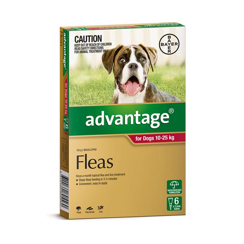 Best price advantage for sale dogs