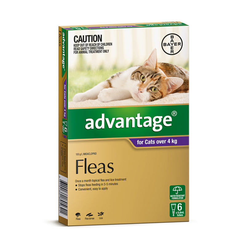 Advantage for cats cheap over 4kg